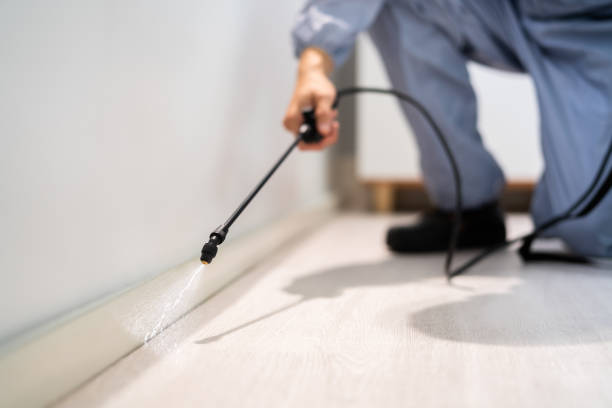 Licensed Rodent Control service in New Cordell, OK - Nex Pest Control