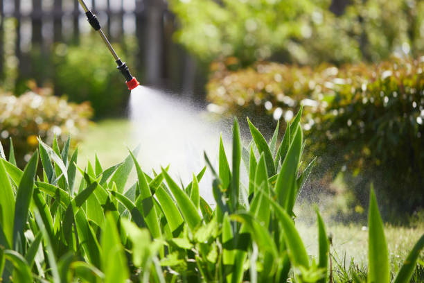 24/7 Emergency Rodent Control experts in New Cordell, OK