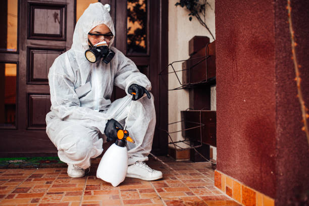Reliable Rodent Control contractor in New Cordell, OK by Nex Pest Control