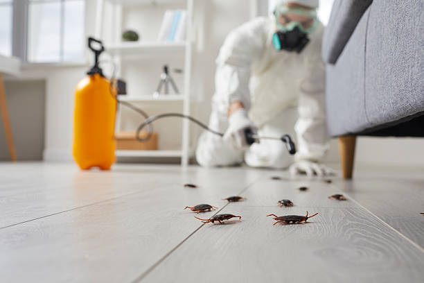 Trusted Rodent Control service in New Cordell, OK - Nex Pest Control